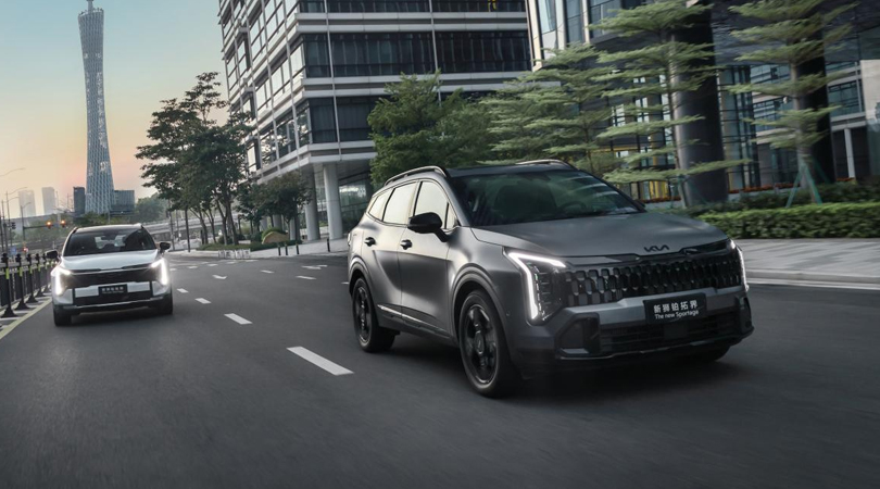 33����ʷ�������ۼ�������800��������ʨ���ؽ���ζ���ȫ���¸߶ȣ�