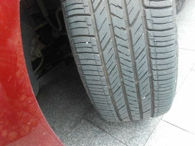 Ϻͨѩ񱦳̥Ƥ