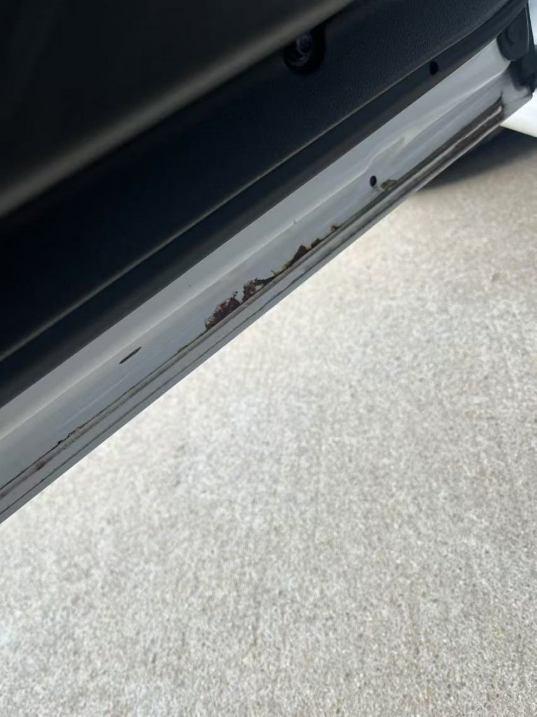 ���2019����������͹��������Źİ��������⡣